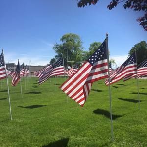 Meet your Posher, Jill